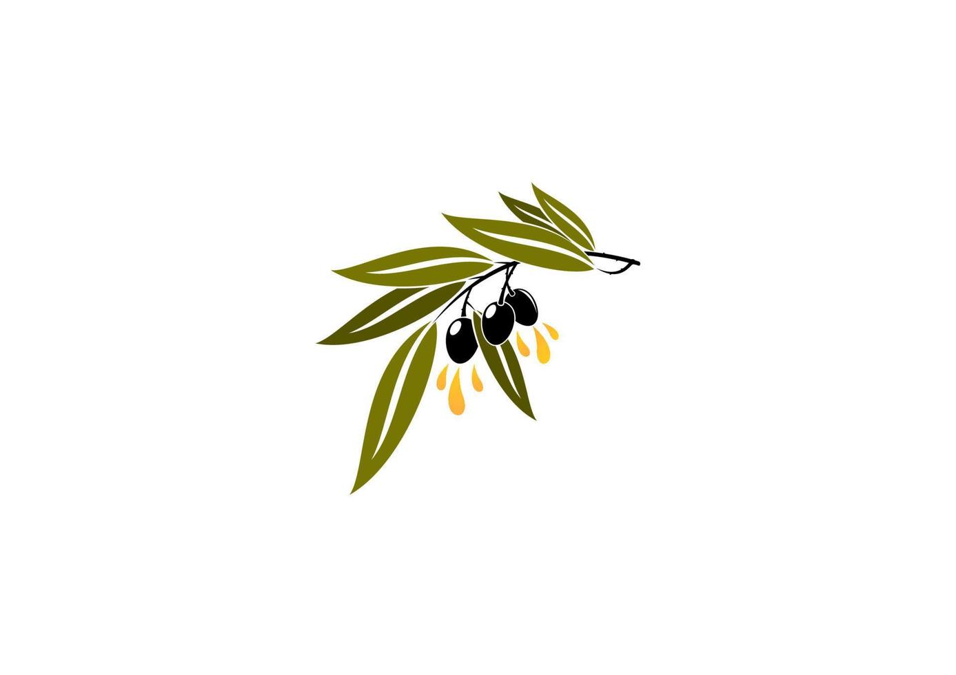 Black olives on a branch dripping olive oil vector