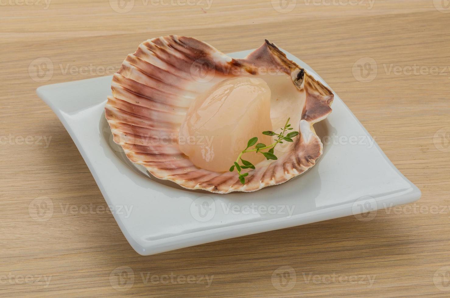 Raw scallops on the plate and wooden background photo