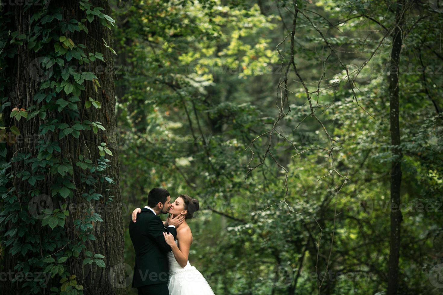 Beautiful wedding couple posing photo