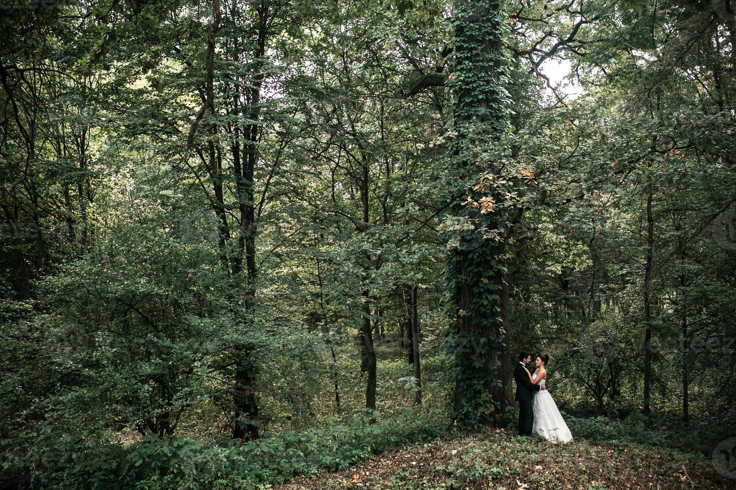 Beautiful wedding couple posing photo