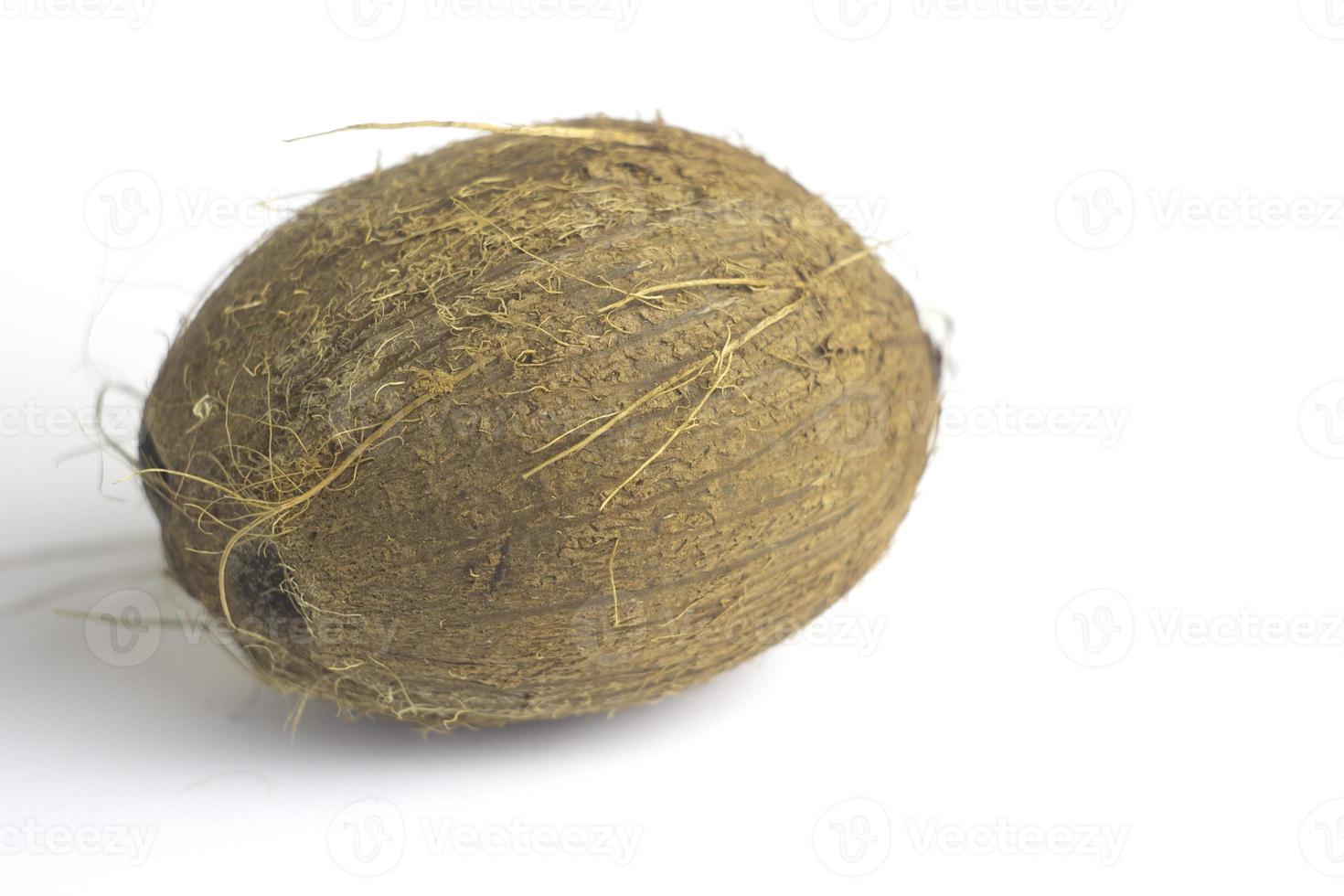 Coconut nut isolated on white background photo