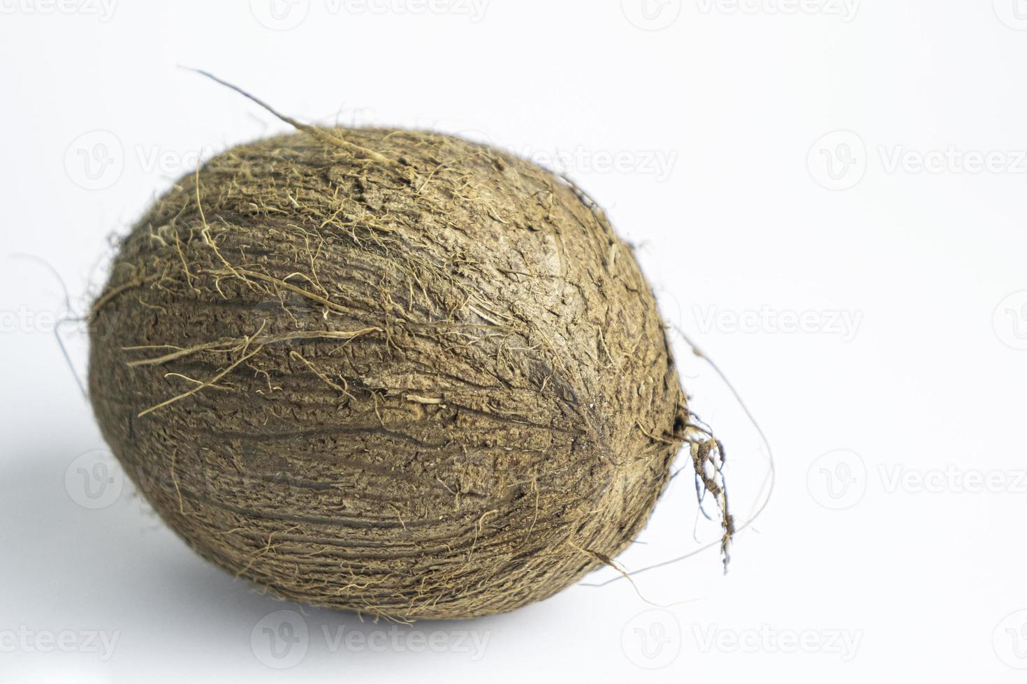 Coconut nut isolated on white background photo