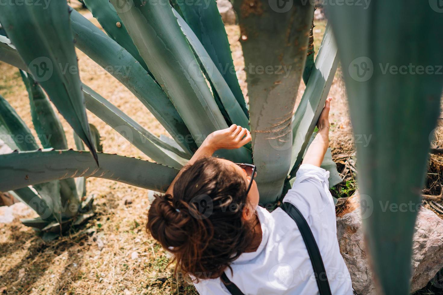 Back view of happy beautiful girl, posing at big aloe vera leaves photo