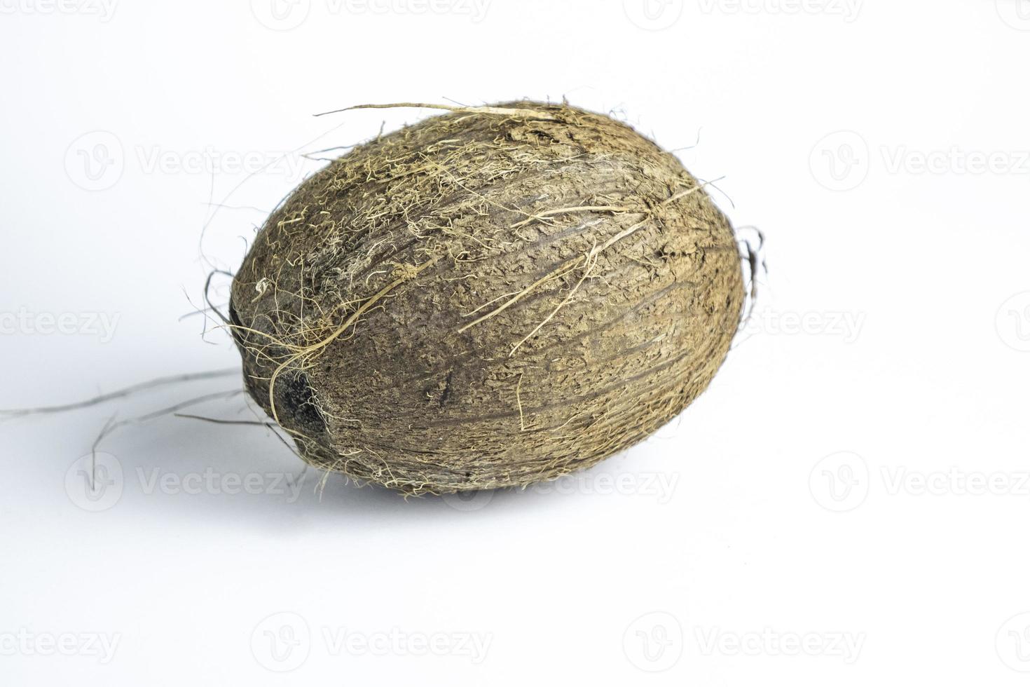 Coconut nut isolated on white background photo
