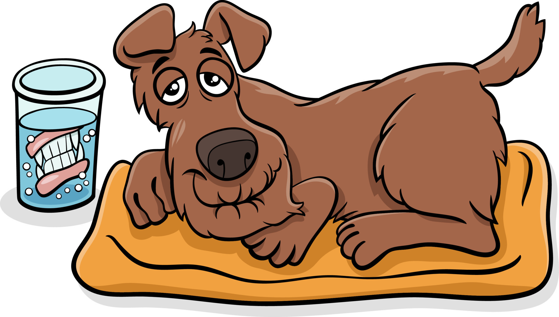 Cartoon Senior Dog With Dentures In A Glass 11528101 Vector Art At Vecteezy cartoon-senior-dog-with-dentures-in-a-glass-11528101-vector-art-at-vecteezy