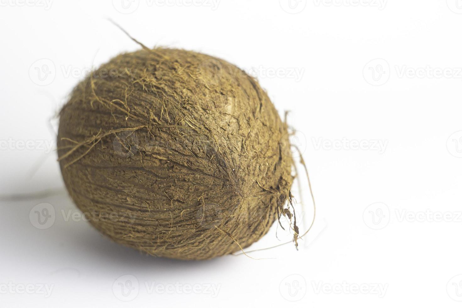 Coconut nut isolated on white background photo