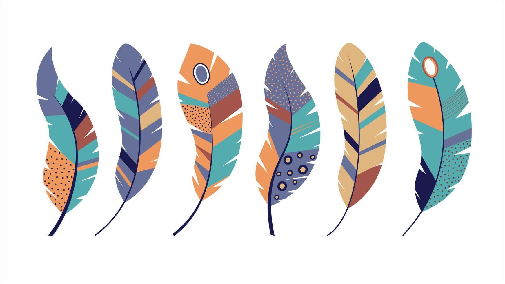 conjunto de plumas ornamentadas vector