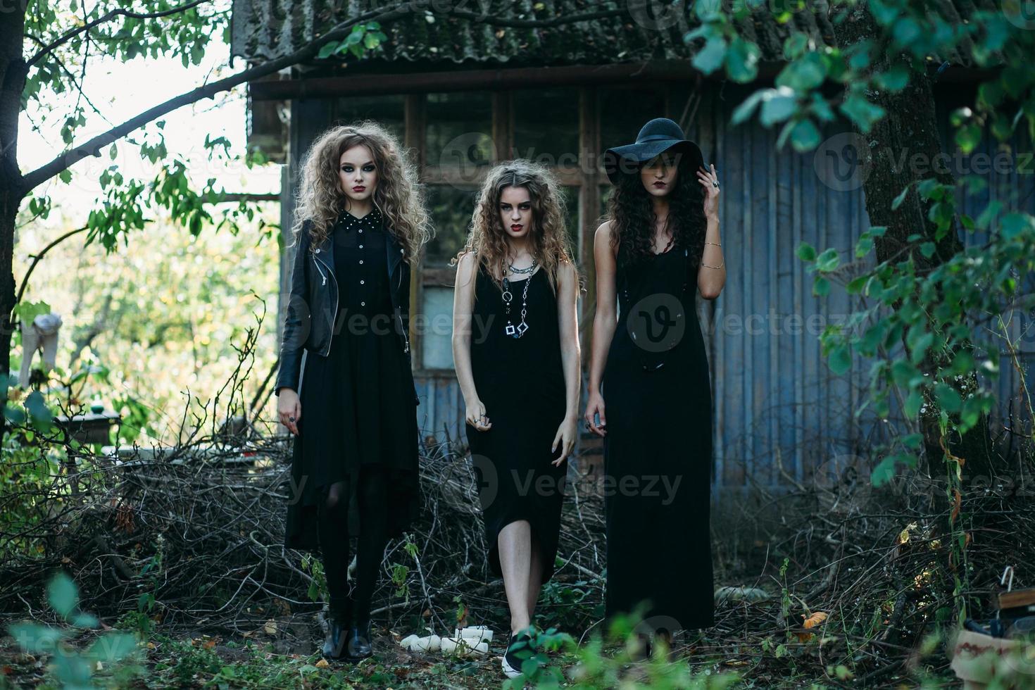 Three vintage witch go to the Sabbat photo