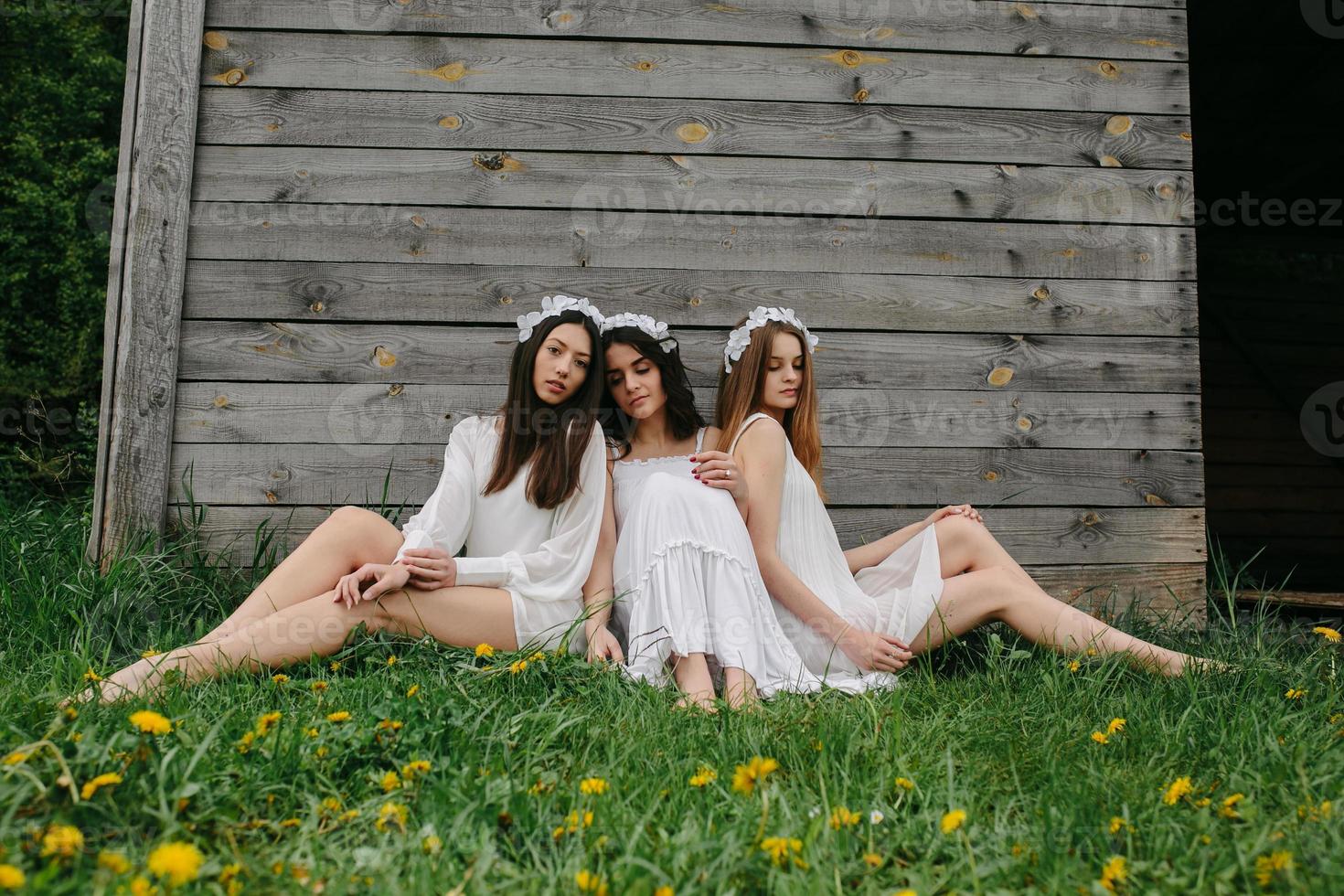 Three charming girls  near a wooden house photo