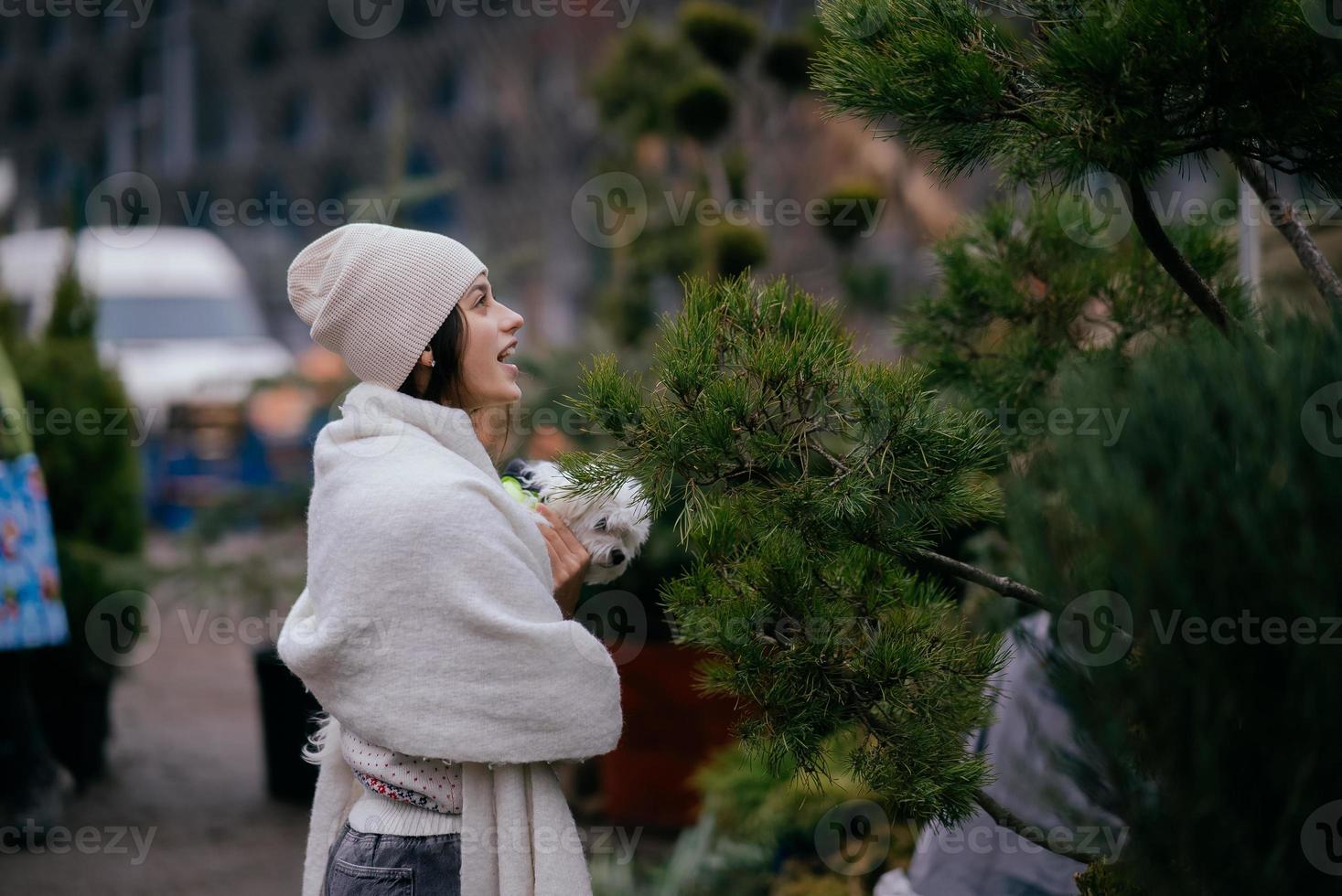 Woman with a white dog in her arms near a green Christmas trees photo