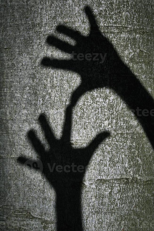 Two shadows hands photo