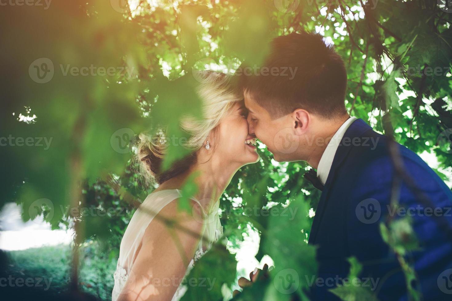 hermosa pareja de novios posando foto