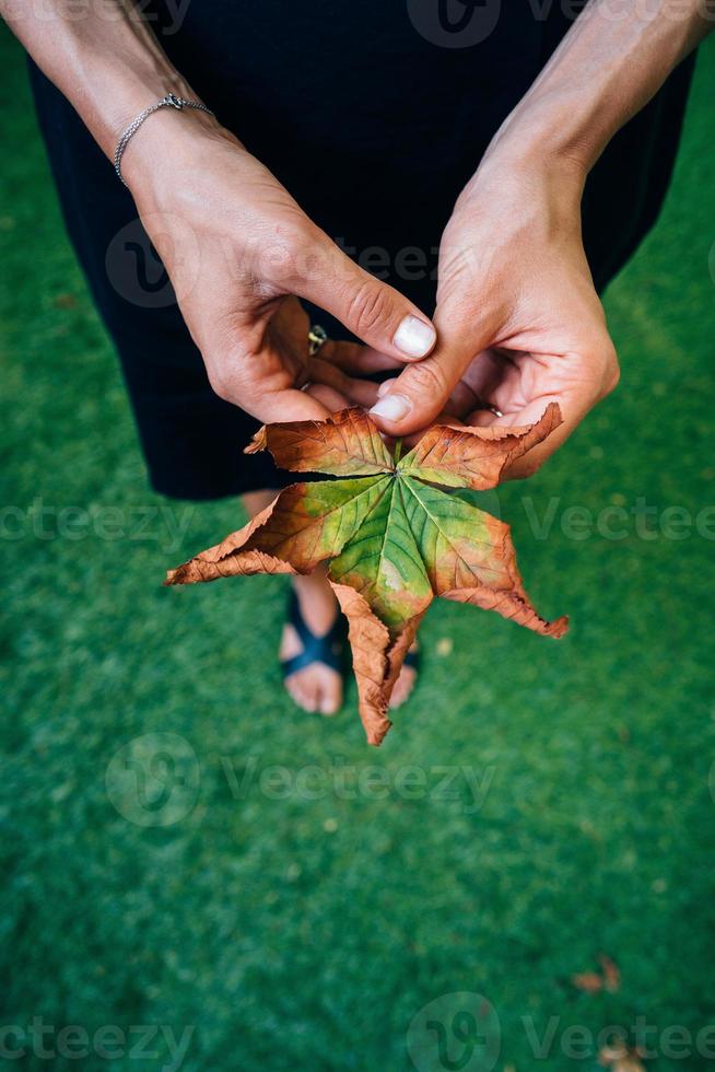 Woman hold nice yellow leaf in hand. photo