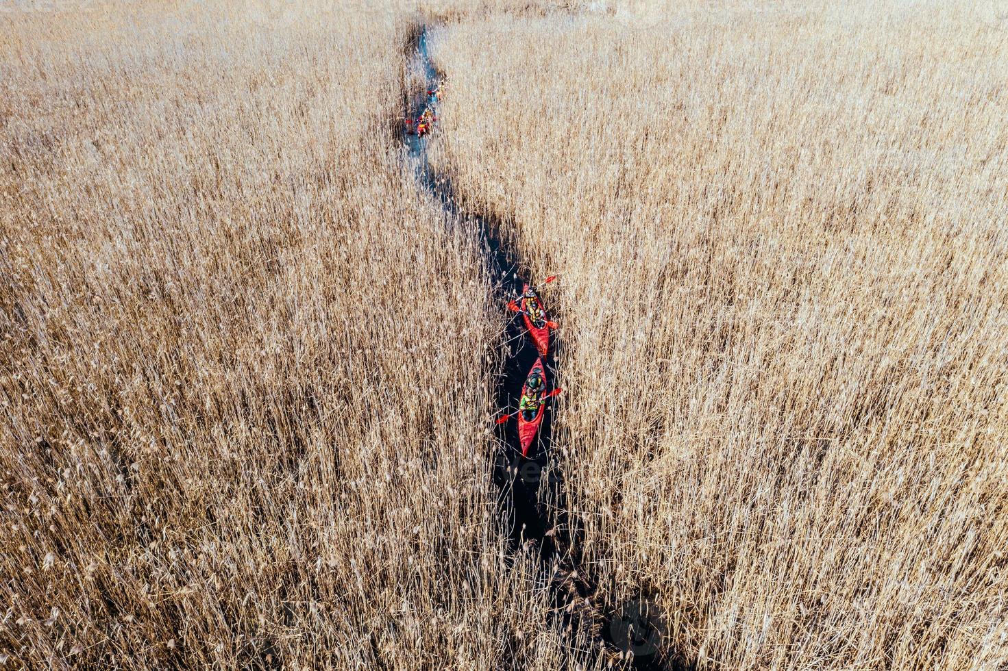 Group of people in kayaks among reeds on the autumn river. photo