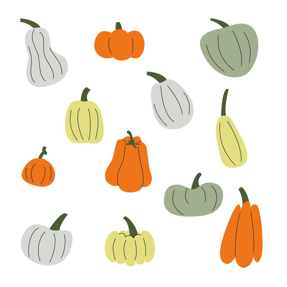 Collection of pumpkins hand drawing. Concept of healthy food. Thanksgiving and Halloween Elements. Vector stock illustration isolated on white background.