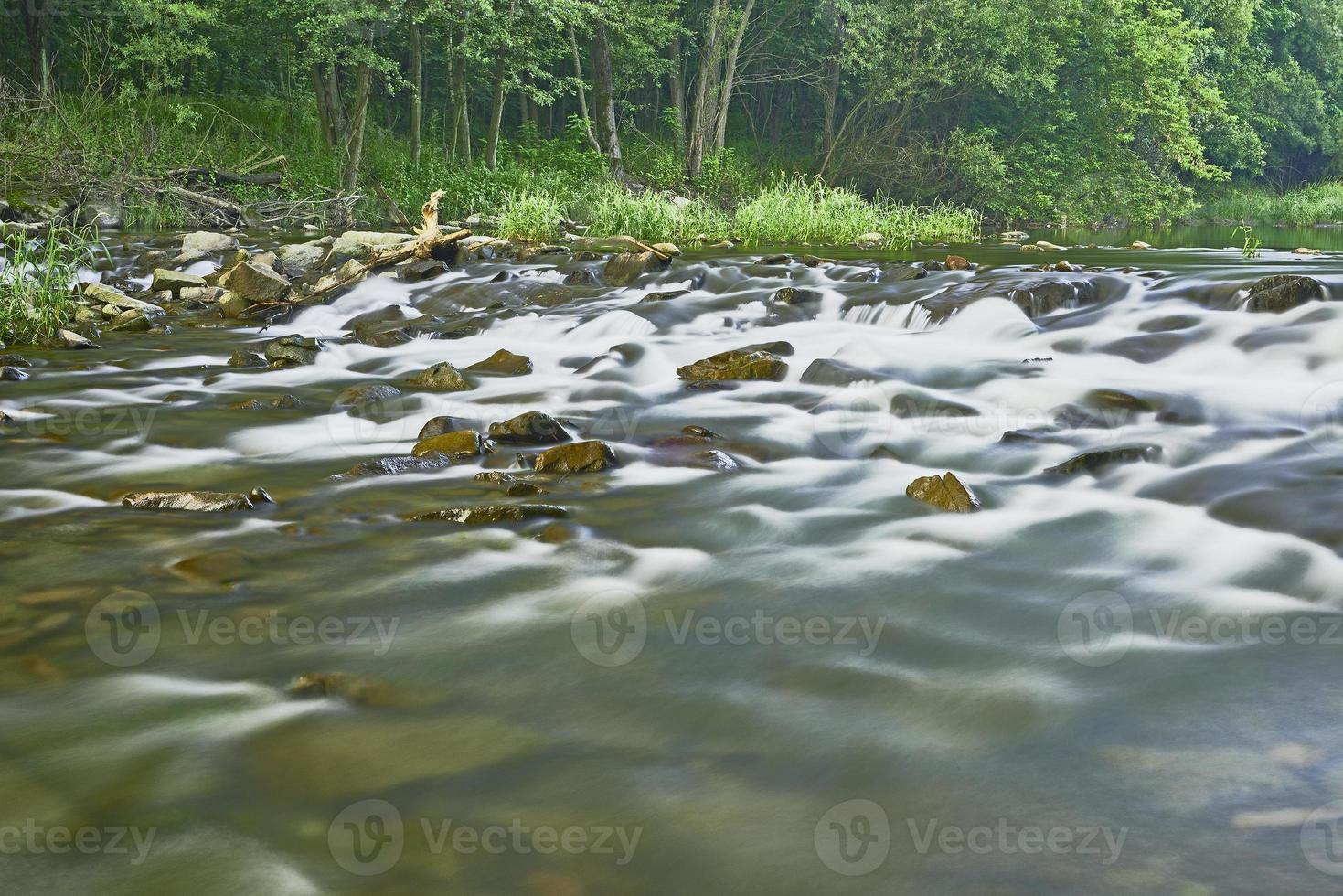 Rivers and trees photo