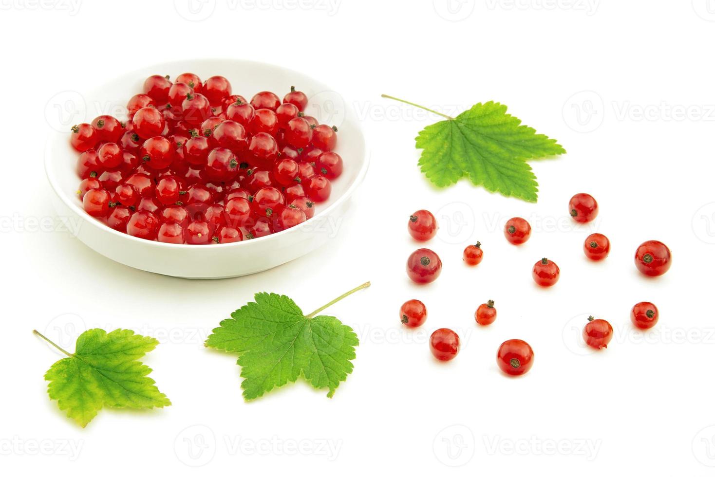Red currant and bowl photo