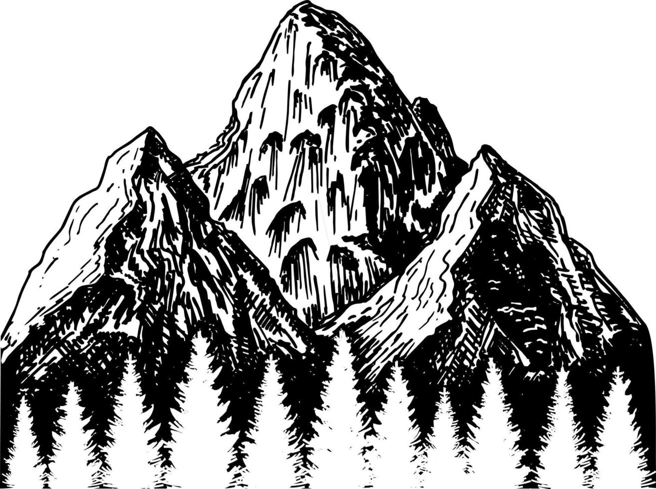 Hand drawn vector illustrations the mountains with a coniferous forest on them in engraving style