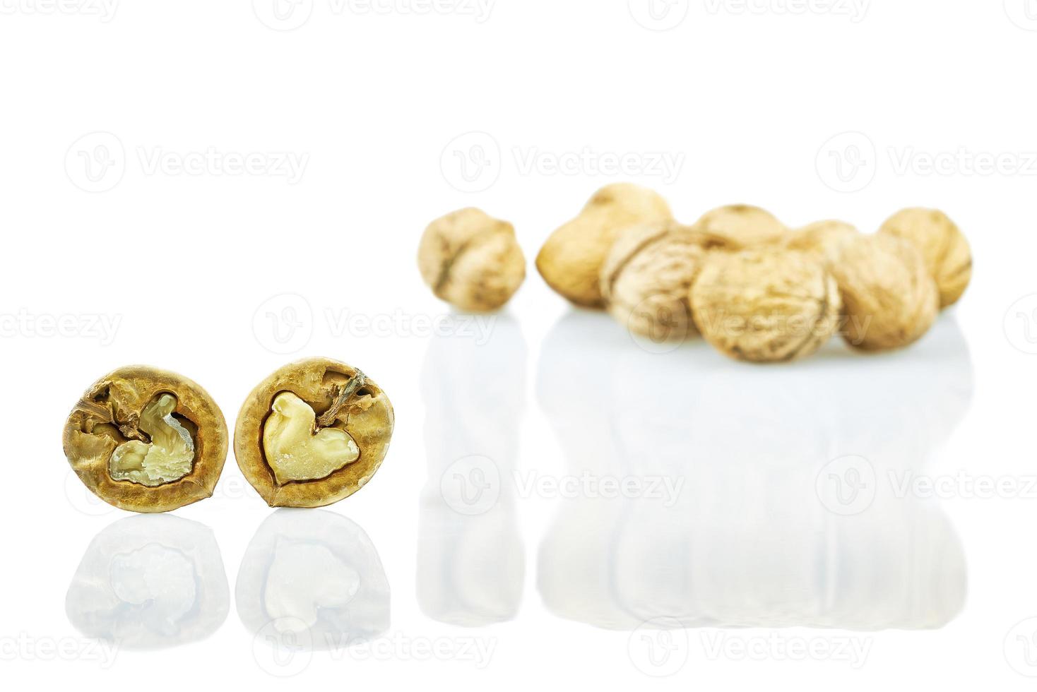 Two halves walnuts photo