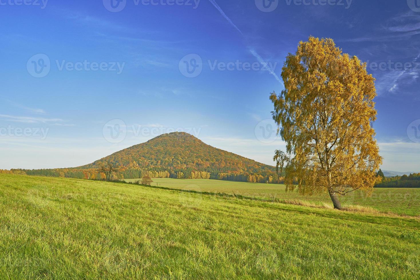 Trees autumn panorama photo