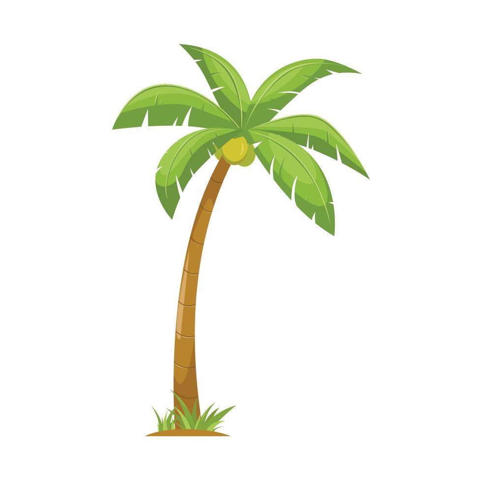 árbol de coco de dibujos animados vector