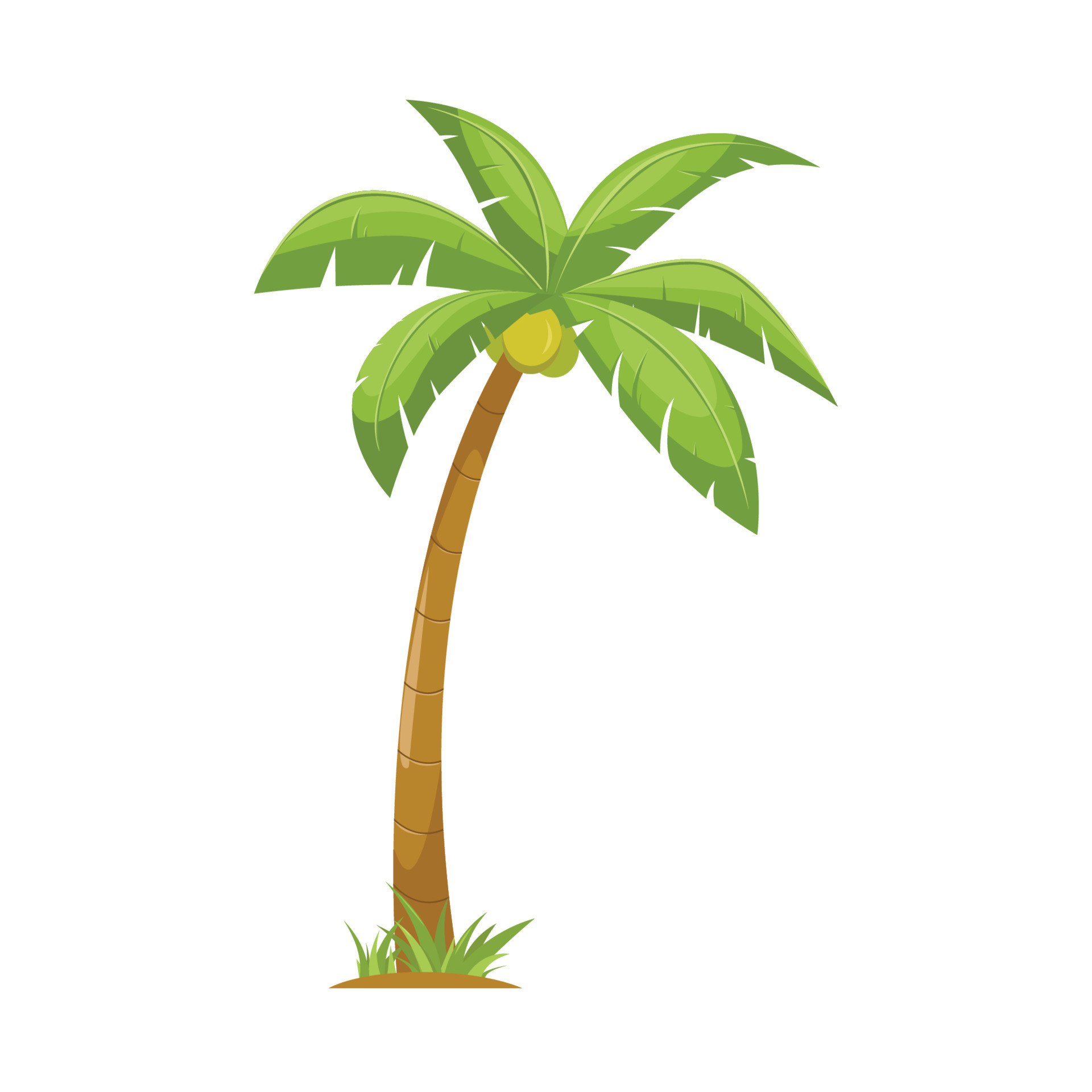 Cartoon Coconut Tree 11535848 Vector Art At Vecteezy cartoon-coconut-tree-11535848-vector-art-at-vecteezy