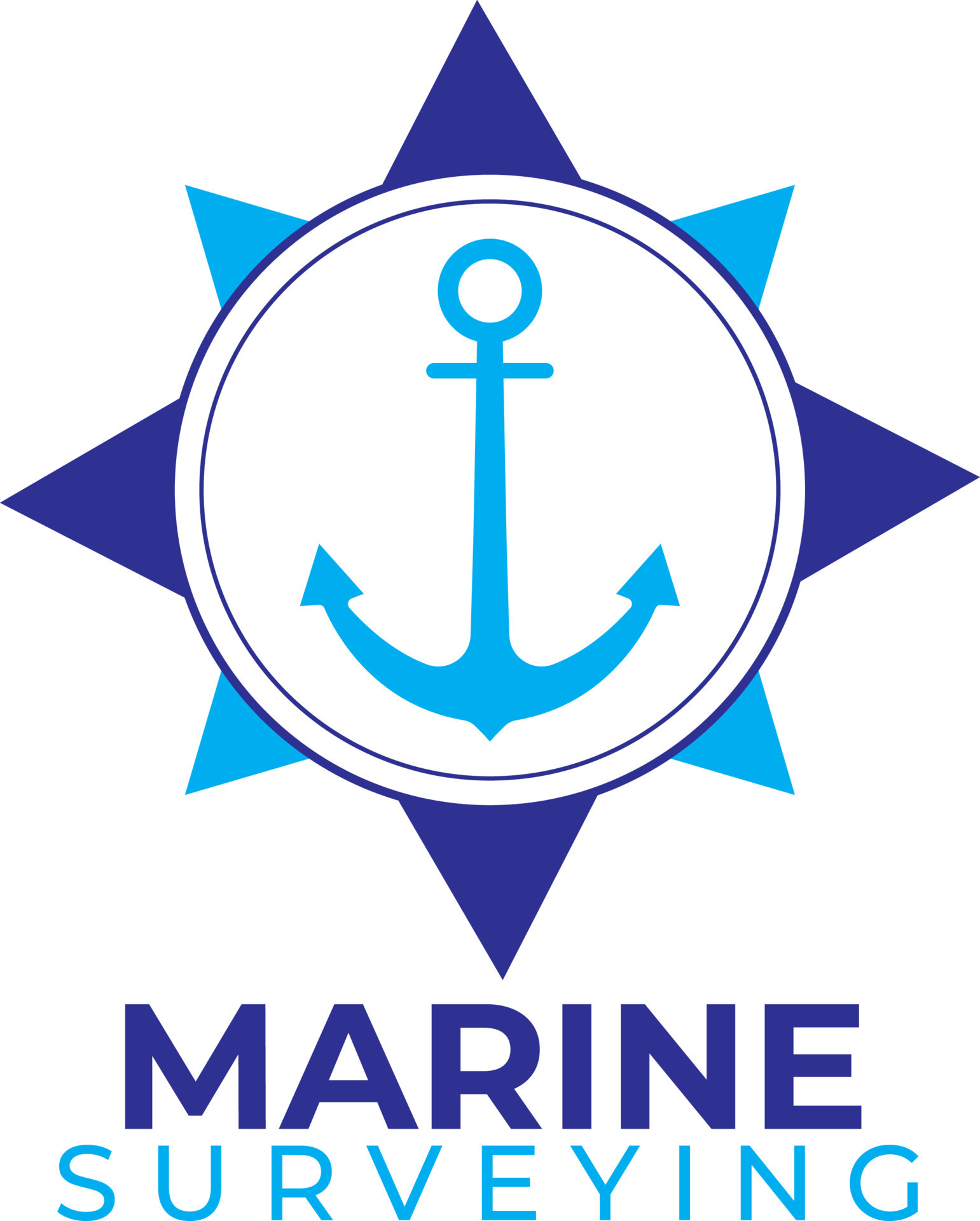 Marine surveyor logo pro vector 11536038 Vector Art at Vecteezy