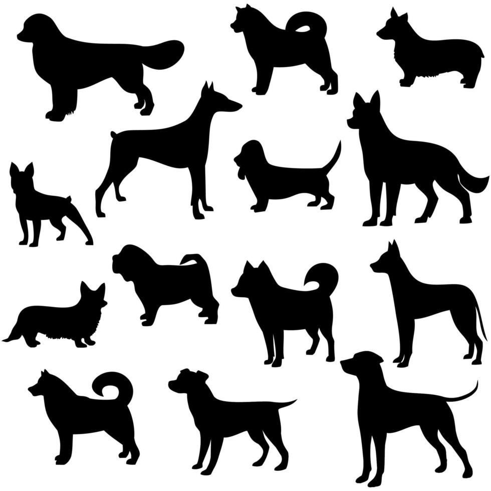 perros de diferentes razas vector