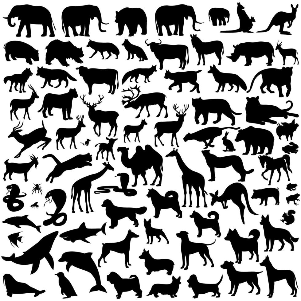 los animales son diferentes vector