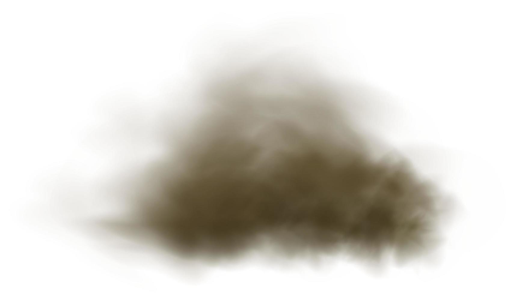 Background of a cloud of brown dust and sand with particles of flying dry sand and dirt. vector