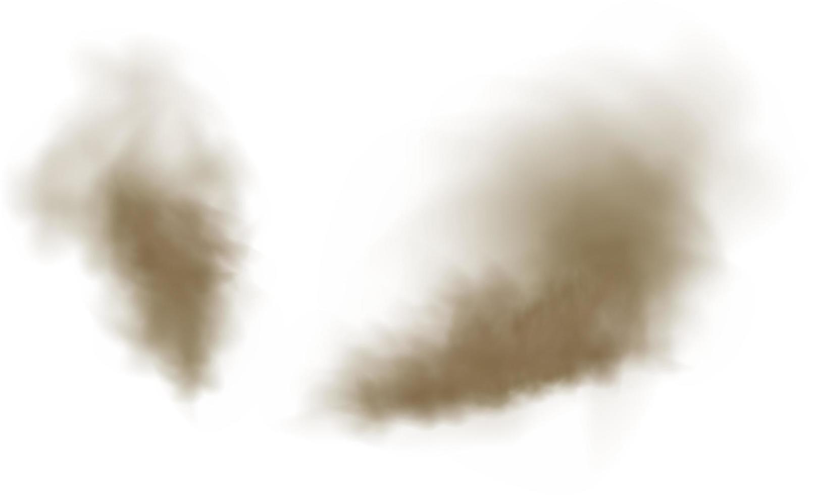 Background of a cloud of brown dust and sand with particles of flying dry sand and dirt. vector