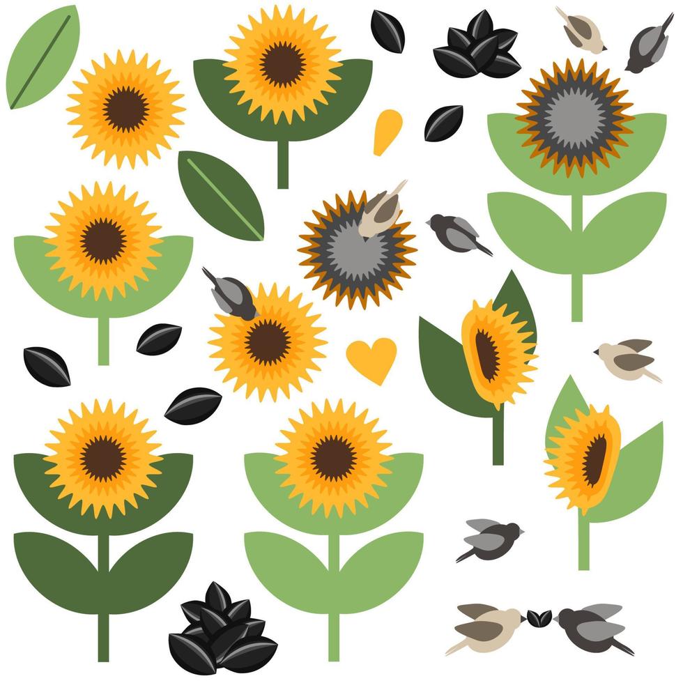 Sunflower vector set with seed and birds