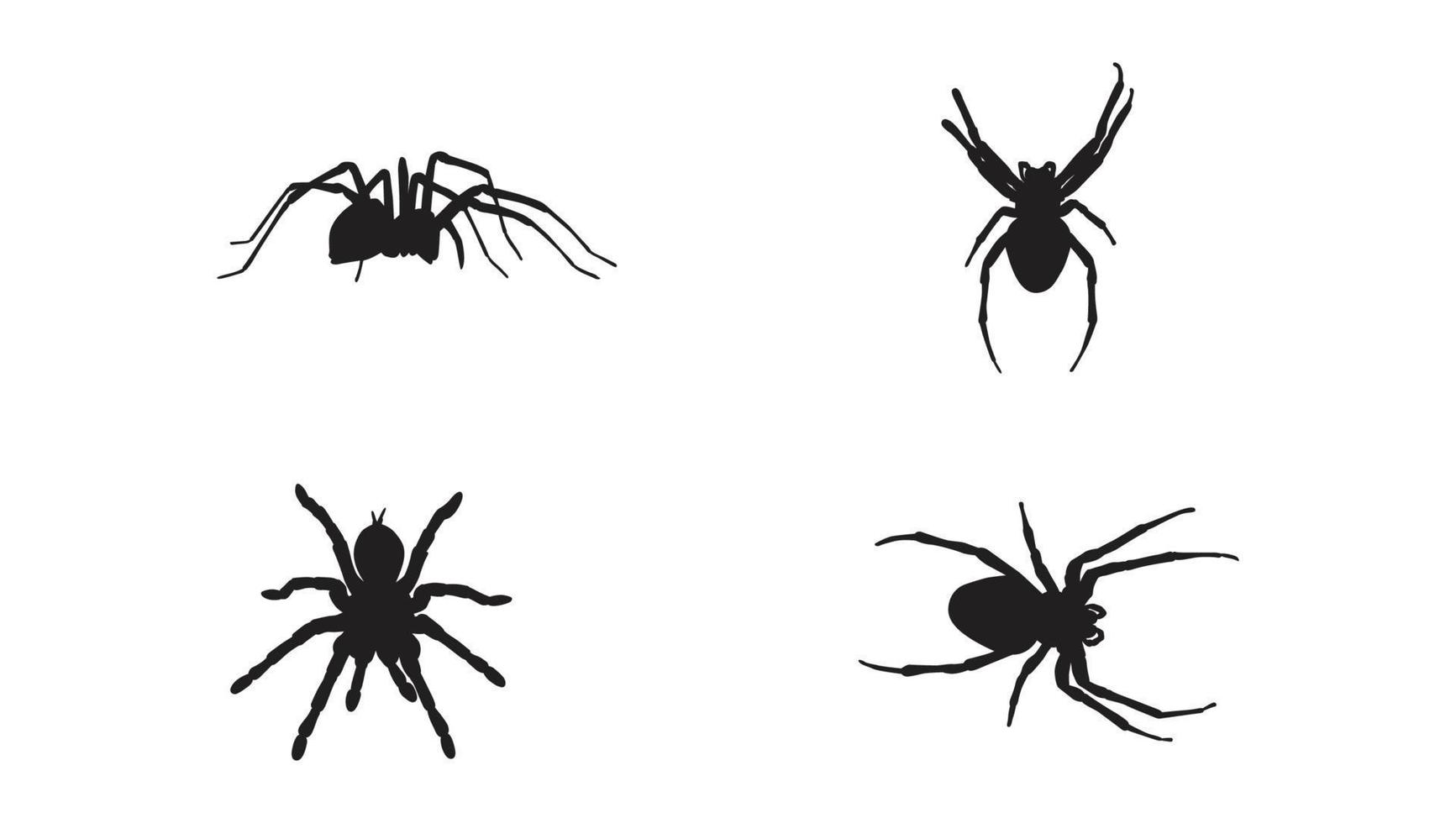 Collection of animal Spider Silhouette in different poses Free Vector