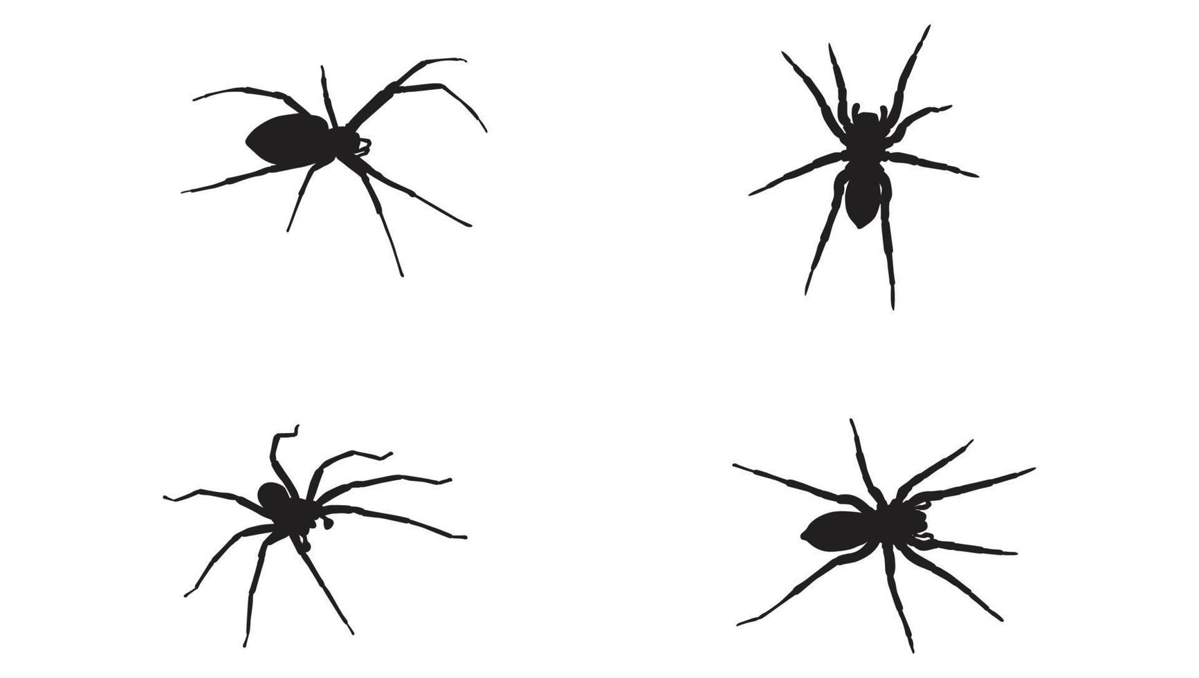 Collection of animal Spider Silhouette in different poses Free Vector