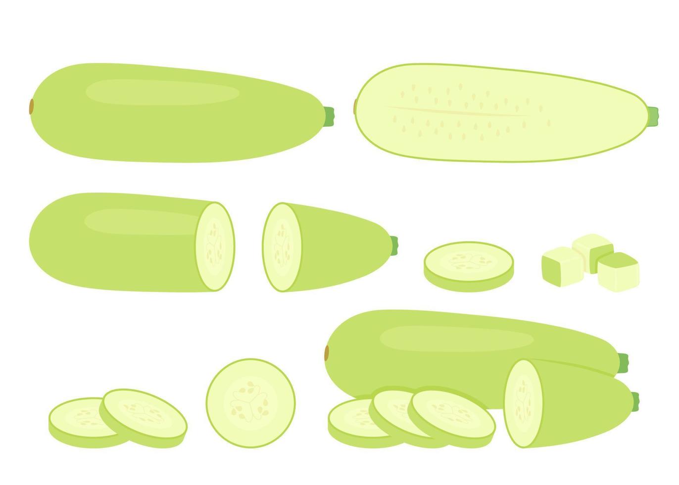 Green zucchini food set, whole and chopped squash. Courgette whole, cut half and sliced. Crop edible plant vegetable. Vector isolated illustration
