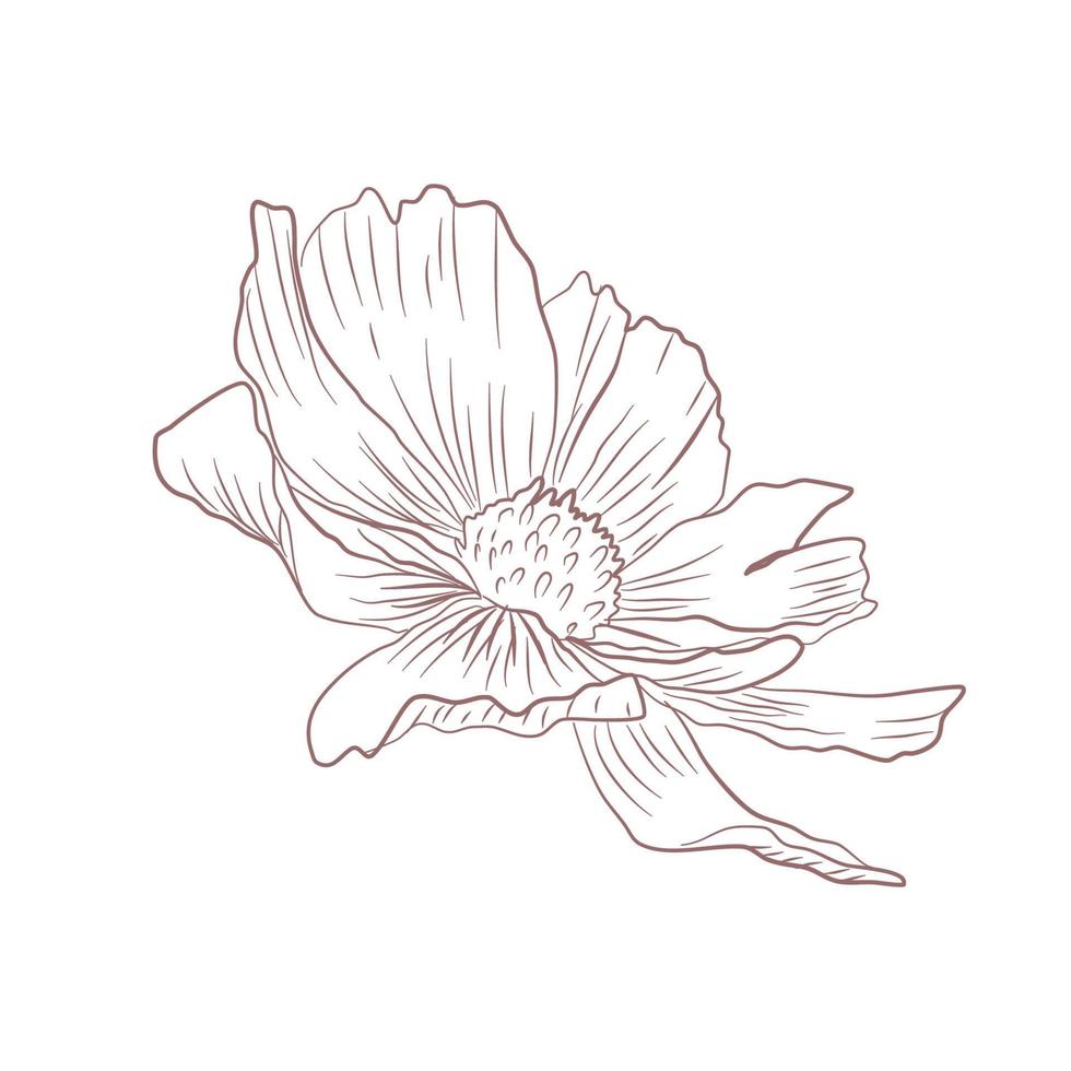 Hand drawn flower sketch line art vector illustration