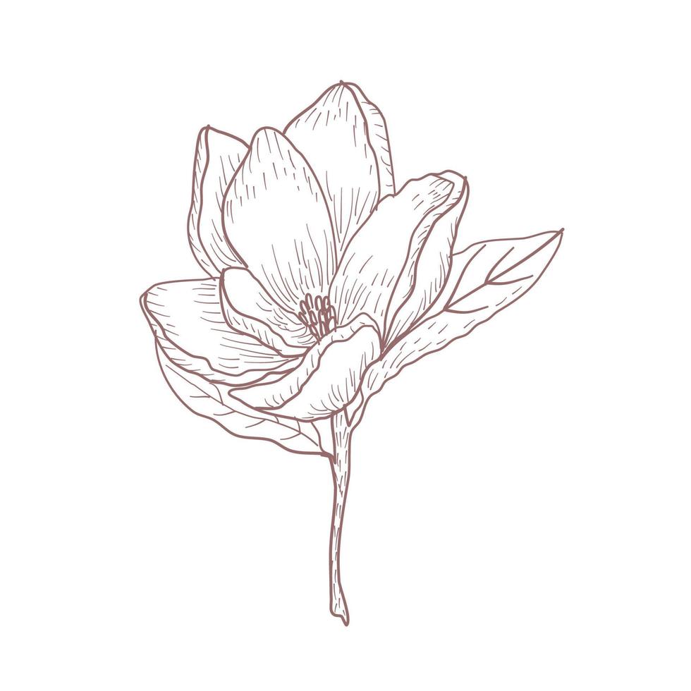Hand drawn flower sketch line art vector illustration