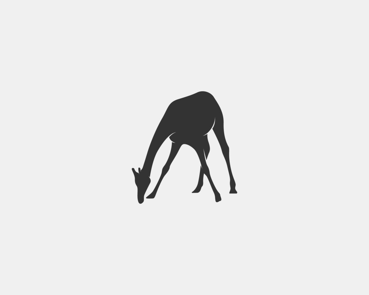 Giraffe vector silhouette