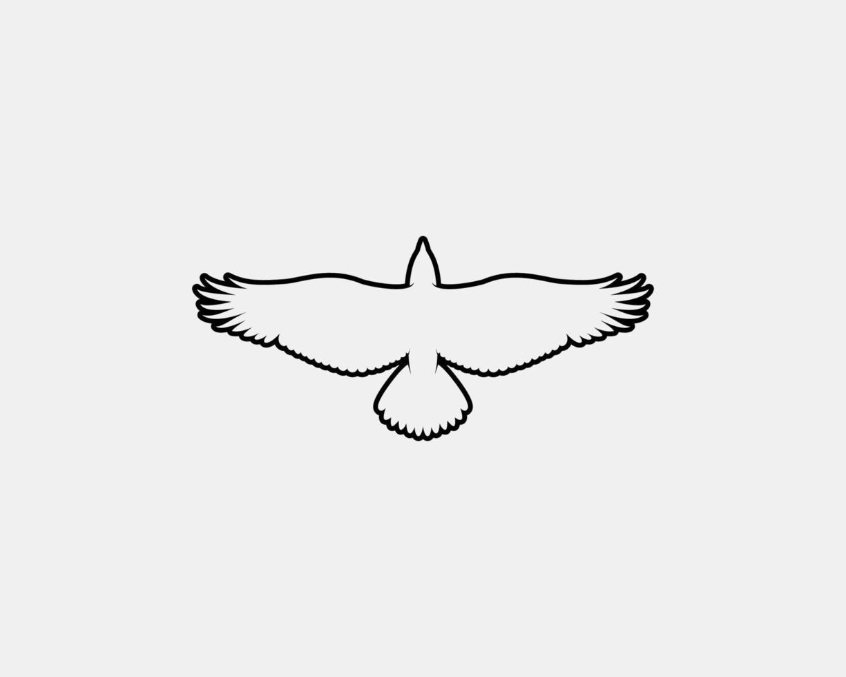 eagle outline vector silhouette