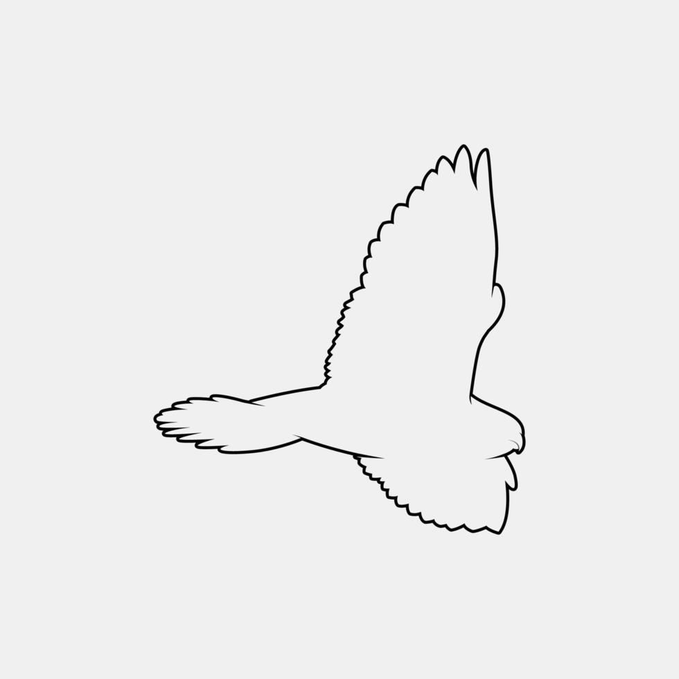 falcon outline vector silhouette