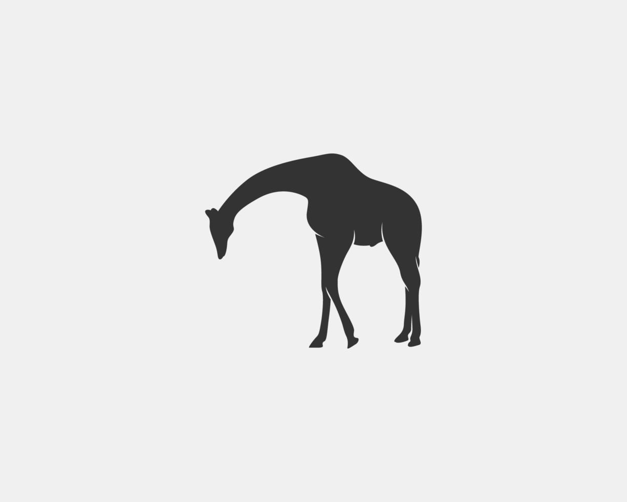 Giraffe vector silhouette
