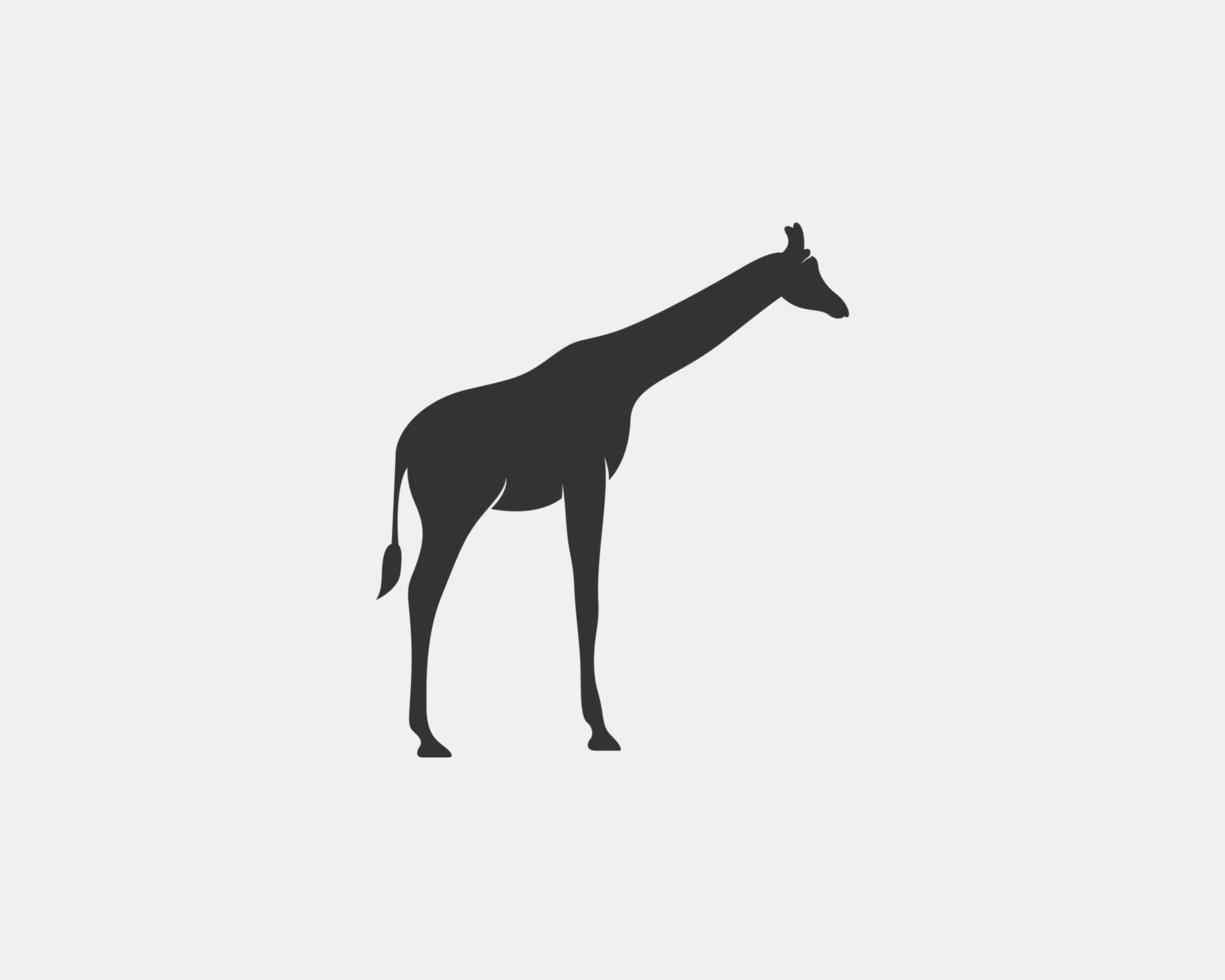 Giraffe vector silhouette