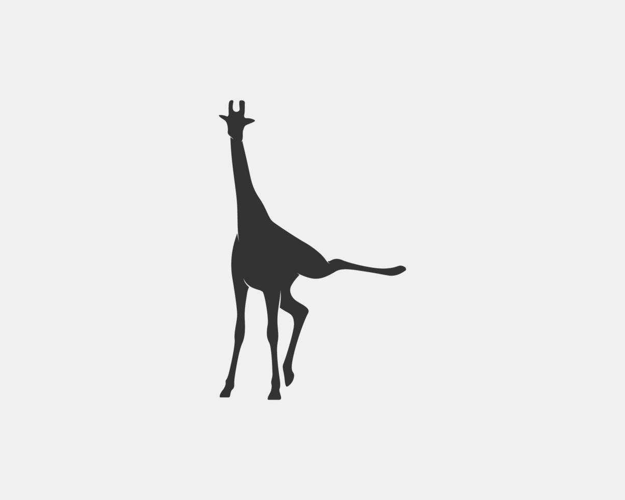 Giraffe vector silhouette