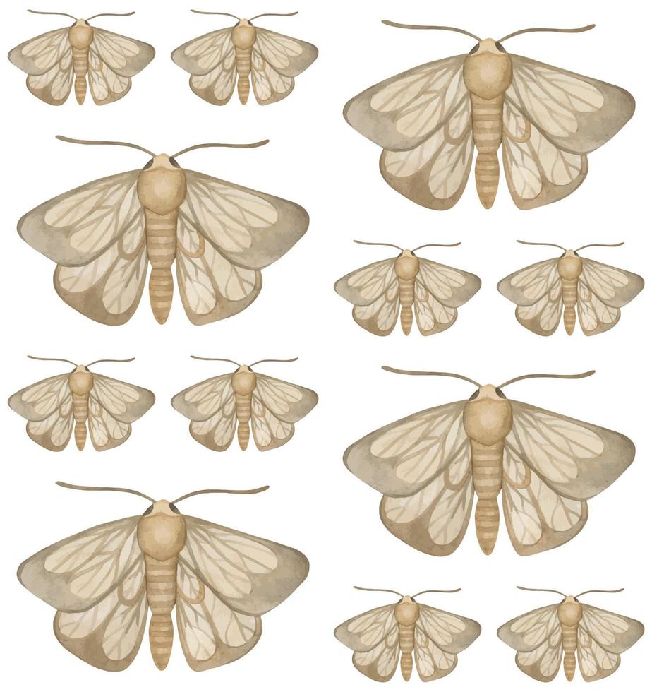 WHITE VECTOR SEAMLESS PATTERN WITH WATERCOLOR MOTHS