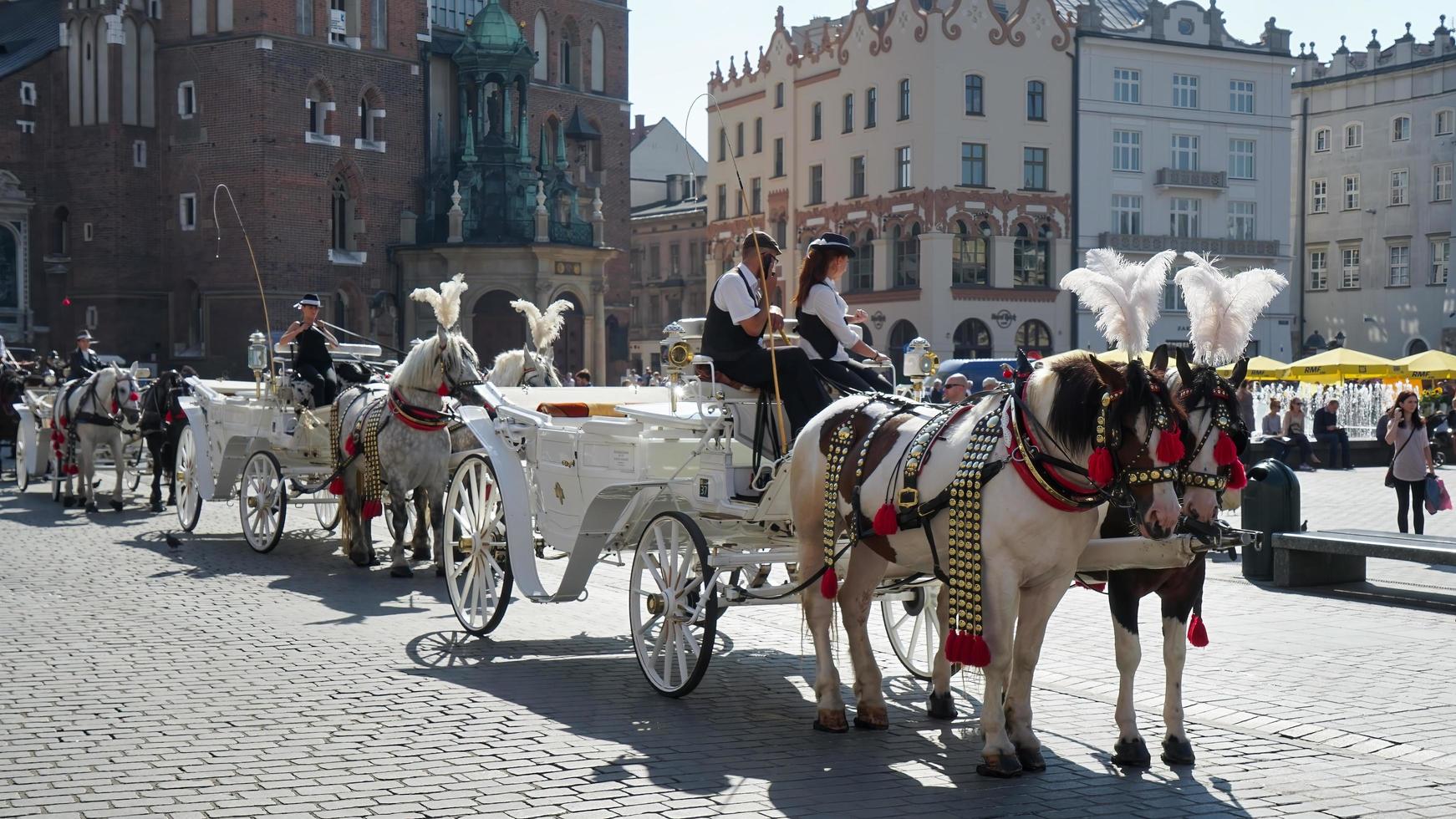 Krakow, Poland - September 19. Carriage and Horses in among the traffic in Krakow, Poland on September 19, 2014. Unidentified people photo