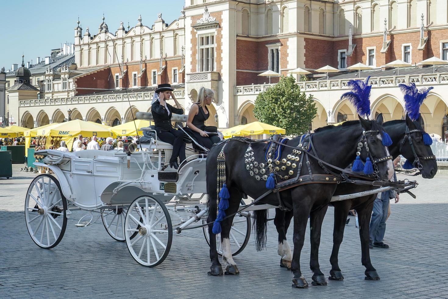 cracovia, polonia - 19 de septiembre. carro y caballos en cracovia, polonia el 19 de septiembre de 2014. personas no identificadas foto