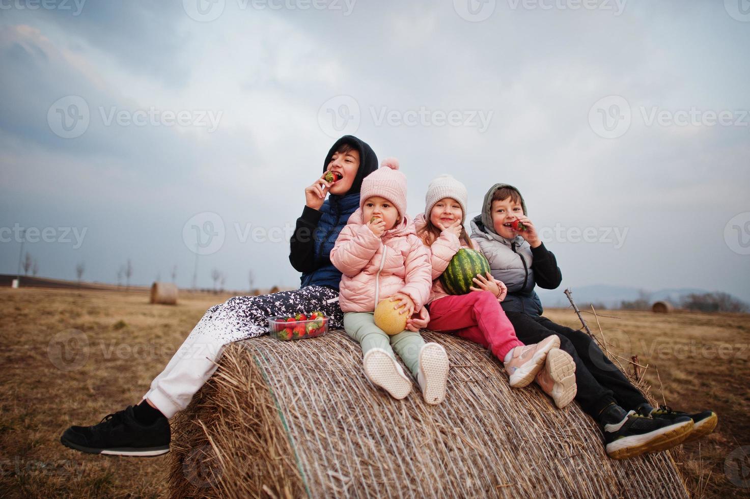 Four kids with fruits in hands sitting on haycock at field. photo