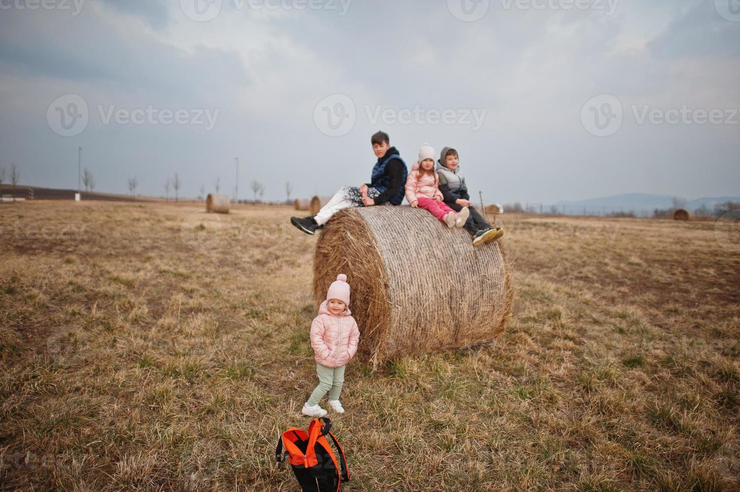 Four kids sitting on haycock at field. photo