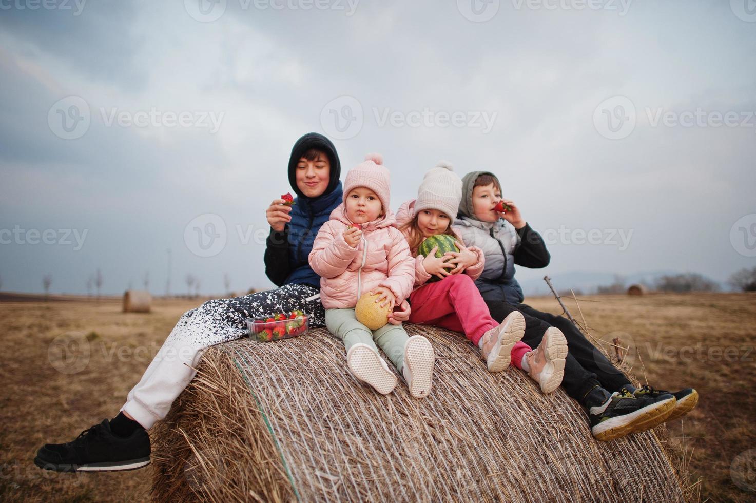 Four kids with fruits in hands sitting on haycock at field. photo