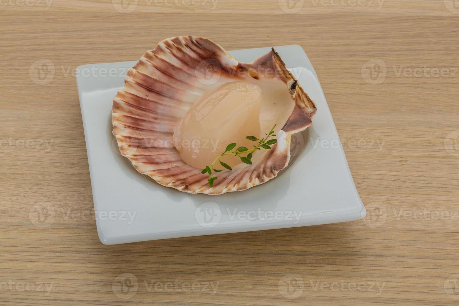 Raw scallops on the plate and wooden background photo